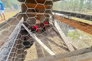 1774 SW Big Bear Ridge, Dunnellon, FL 34431 - Photo 4