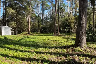 1205 Cupid Ave, Christmas, FL 32709 - Photo 6