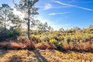 110 Dartmoor Ave, Lake Placid, FL 33852 - Photo 1