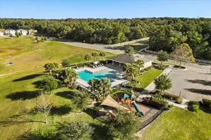 3805 Heartleaf Ln, Mount Dora, FL 32757 - Photo 34