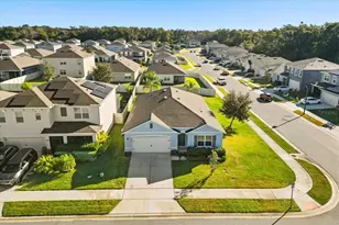 3805 Heartleaf Ln, Mount Dora, FL 32757 - Photo 30