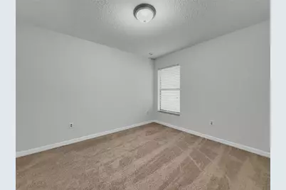 10113 Rosemary Leaf Lane, Riverview, FL 33578 - Photo 12