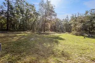 1208 Darcy Rd, Lady Lake, FL 32159 - Photo 34