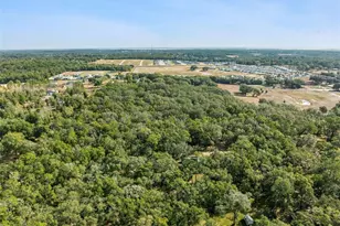 1208 Darcy Rd, Lady Lake, FL 32159 - Photo 46