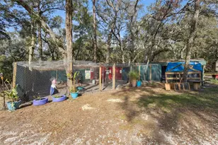 1208 Darcy Rd, Lady Lake, FL 32159 - Photo 36