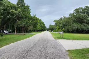 32108 Holopaw Trail, Sorrento, FL 32776 - Photo 18