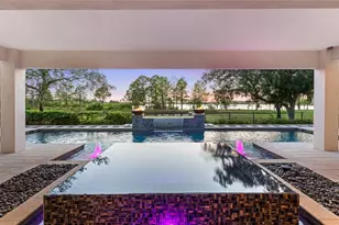 11255 Macaw Ct, Windermere, FL 34786 - Photo 4