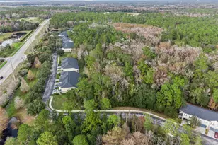 529 Evening Sky Dr, Oviedo, FL 32765 - Photo 40