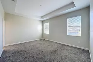 10006 Yellow Jasmine Dr, Orlando, FL 32832 - Photo 38