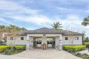 10006 Yellow Jasmine Dr, Orlando, FL 32832 - Photo 60