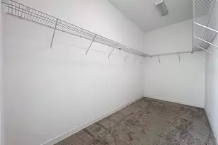 10006 Yellow Jasmine Dr, Orlando, FL 32832 - Photo 48