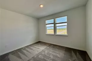 15010 Summer Harvest St, Winter Garden, FL 34787 - Photo 18