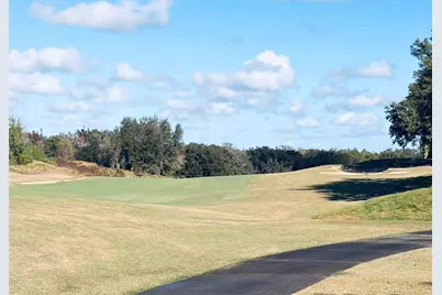 7402 Sparkling Court, Reunion, FL 34747 - Photo 10