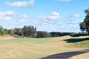 7402 Sparkling Ct, Reunion, FL 34747 - Photo 10