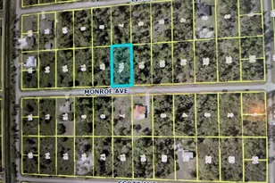 811 Monroe Ave, Lehigh Acres, FL 33972 - Photo 1