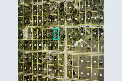 1320 Scott Avenue, Lehigh Acres, FL 33972 - Photo 1