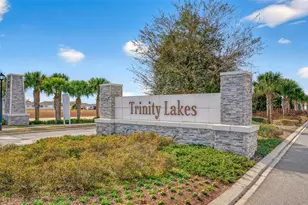 6877 Wilson Hammock Ave, Groveland, FL 34736 - Photo 50