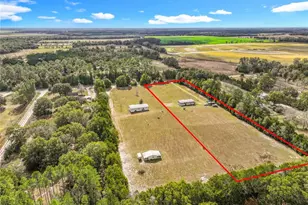 25454 SW 46th Ave, Newberry, FL 32669 - Photo 4