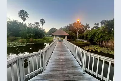 540 Sheridan Drive, Palm Harbor, FL 34684 - Photo 40