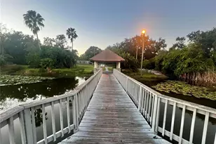 540 Sheridan Dr, Palm Harbor, FL 34684 - Photo 40