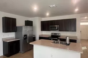 1428 Berry Ln, Davenport, FL 33837 - Photo 8