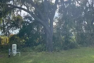 40 Maple Ln, Ocklawaha, FL 32179 - Photo 42