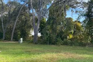40 Maple Ln, Ocklawaha, FL 32179 - Photo 46