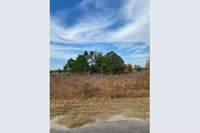 40 Maple Lane, Ocklawaha, FL 32179 - Photo 40