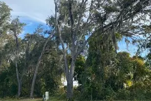 40 Maple Ln, Ocklawaha, FL 32179 - Photo 48