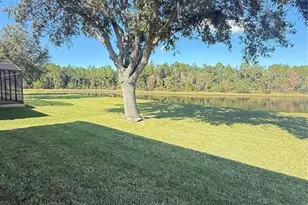 10029 Chardonnay Dr, Orlando, FL 32832 - Photo 46