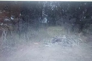 3126 W Ansonia Road S, Avon Park, FL 33825 - Photo 2