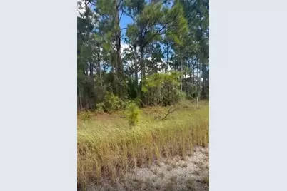 334 Sun Court, Lake Placid, FL 33852 - Photo 1