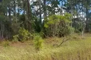 334 Sun Ct, Lake Placid, FL 33852 - Photo 1