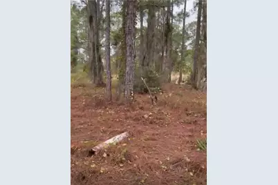 334 Sun Court, Lake Placid, FL 33852 - Photo 10