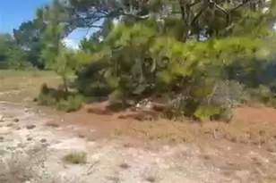 334 Sun Ct, Lake Placid, FL 33852 - Photo 2