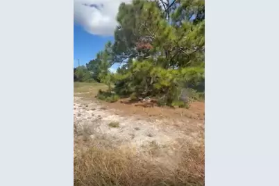 334 Sun Court, Lake Placid, FL 33852 - Photo 4