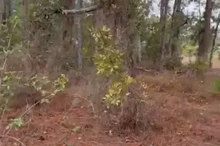 334 Sun Ct, Lake Placid, FL 33852 - Photo 8