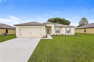 35669 Rose Moss Ave, Leesburg, FL 34788 - Photo 1