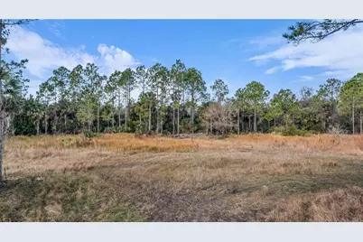 2331 Waccassa St, Geneva, FL 32732 - Photo 6