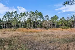 2331 Waccassa St, Geneva, FL 32732 - Photo 6