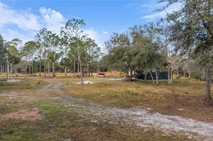 2331 Waccassa St, Geneva, FL 32732 - Photo 12