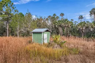 2331 Waccassa St, Geneva, FL 32732 - Photo 10