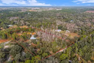 2331 Waccassa St, Geneva, FL 32732 - Photo 16