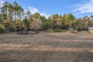 2331 Waccassa St, Geneva, FL 32732 - Photo 24