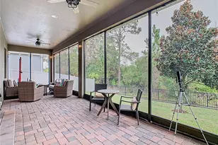10759 Petrillo Wy, Winter Garden, FL 34787 - Photo 40