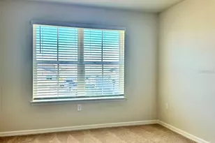4216 Chester Spgs Blvd, Davenport, FL 33837 - Photo 10