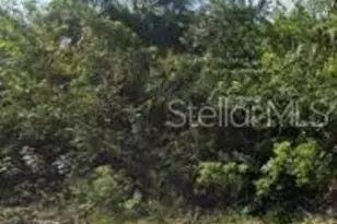 886 Bitlis Street SW, Palm Bay, FL 32908 - Photo 1