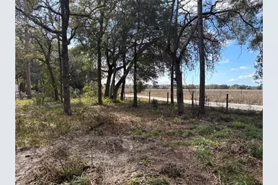 31 SE 190th Avenue, Old Town, FL 32680 - Photo 6