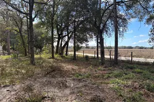 31 SE 190th Ave, Old Town, FL 32680 - Photo 6