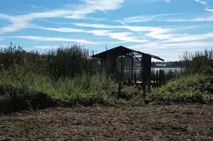 4711 S Rio Grande Ave, Orlando, FL 32839 - Photo 8